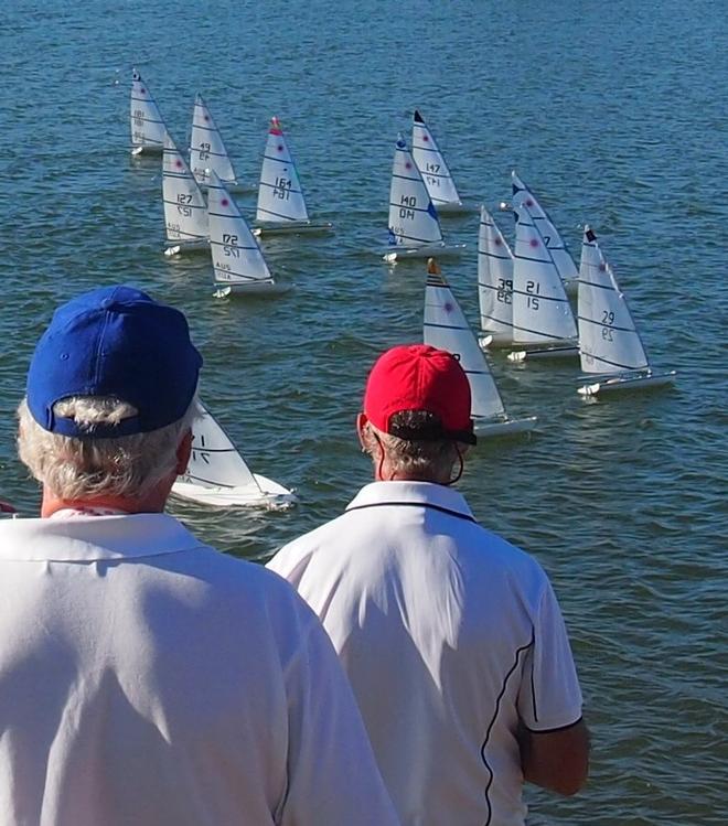Racing underway. Remote Controlled Laser Yacht 2014 Australian Championship  © Cliff Bromiley